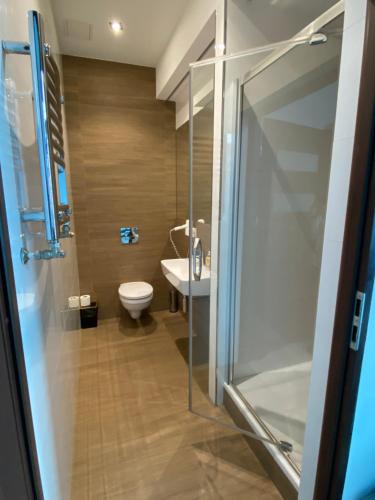 a bathroom with a shower and a toilet and a sink at Aparthotel Łódź 55 Piotrkowska in Łódź