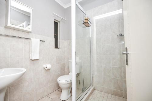 a bathroom with a toilet and a sink and a shower at Cosy Hatfield Apartment in Pretoria