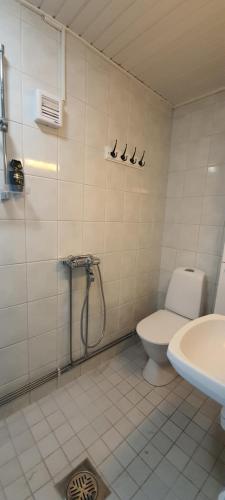 ein Bad mit einer Dusche, einem WC und einem Waschbecken in der Unterkunft Jämsän Himoksen torppa Savusaunalla in Jämsä