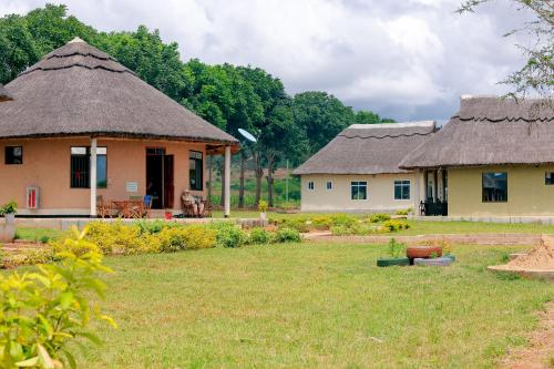 Jardí fora de IOP Cabin Ilula