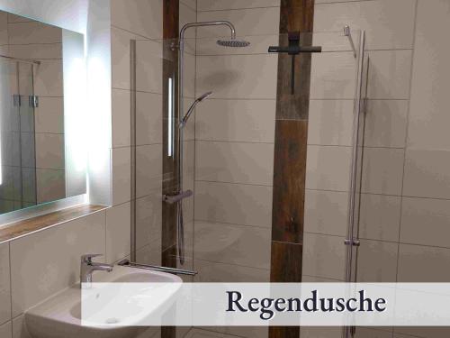 La salle de bains est pourvue d'une douche, d'un lavabo et d'un miroir. dans l'établissement Wohnung Waage, à Sankt-Andreasberg