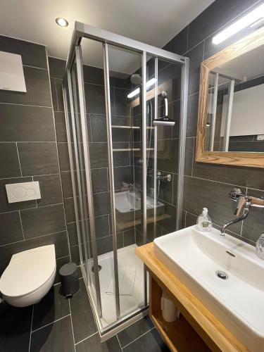 a bathroom with a shower and a toilet and a sink at Almgasthaus Glocknerblick in Großkirchheim
