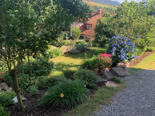 un jardín con flores y una casa de fondo en FeWo Gartenblick, en Oberharmersbach