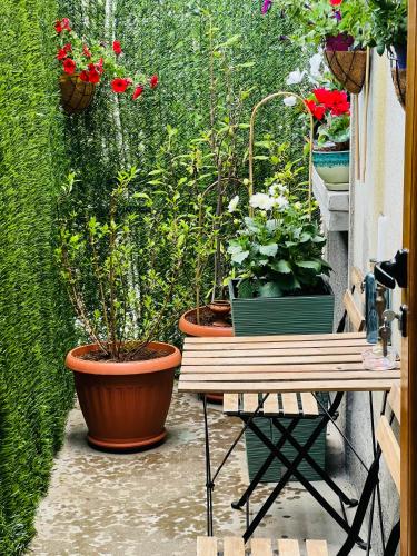 a patio with potted plants and a wooden bench at Rectorate Apartment in Plovdiv