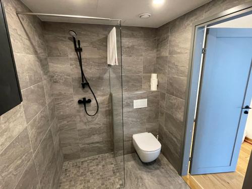 a bathroom with a toilet and a glass shower at Uhiuus Mai tänava korter in Pärnu