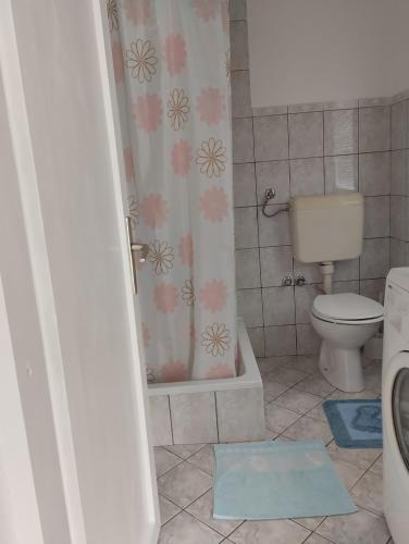 a bathroom with a toilet and a shower at Sejmen in Sarajevo
