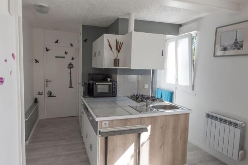 une cuisine avec un évier et un micro-ondes dans l'établissement Studio Privé & Calme à S-Nazaire pr Parc Paysager, à Saint-Nazaire