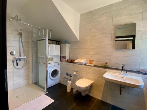 uma casa de banho com um lavatório e uma máquina de lavar roupa em Ferienwohnung Am Weiher Kategorie 2 em Nideggen