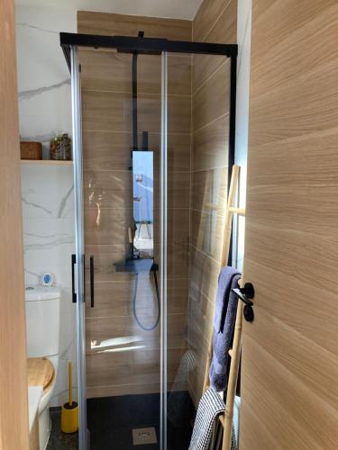 a shower with a glass door in a bathroom at Villa Zephyr con piscina privada. in Gran Tarajal