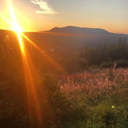 a sunset over a field with the sun shining at In the middle of Trysilfjellet - Welcome Center - Apartment with 3 bedrooms - By bike arena and ski lift in Trysil