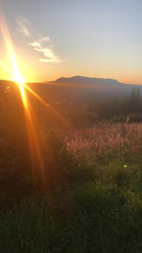 a sunset over a field with the sun shining at In the middle of Trysilfjellet - Welcome Center - Apartment with 3 bedrooms - By bike arena and ski lift in Trysil