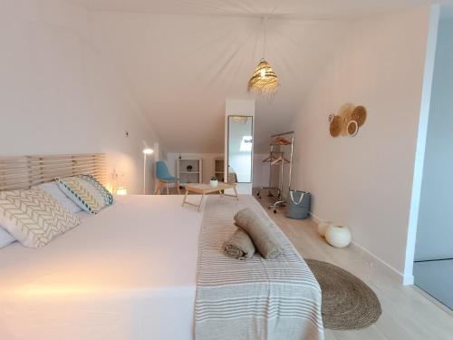 un dormitorio con una cama con un perro durmiendo en ella en Casa Del Mar, piscina privada frente al mar en Cullera