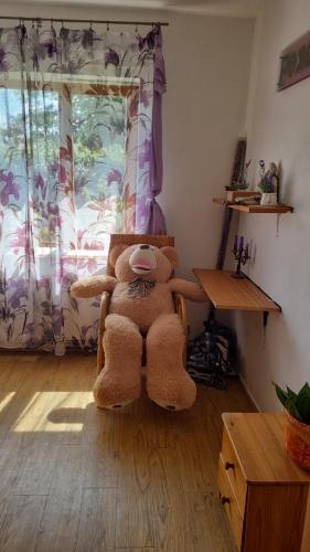 un orsacchiotto seduto su una sedia in una stanza di Brīvdienu māja Koknesē a Koknese