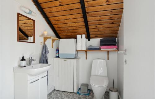 y baño con aseo y lavamanos. en 4 Bedroom Awesome Home In Grsted, en Græsted