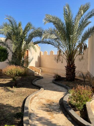 a walkway with palm trees in front of a building at Moon_Valley_Siwa in Siwa