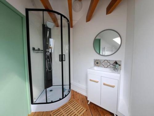 La salle de bains est pourvue d'une douche avec un miroir et un lavabo. dans l'établissement Le Verlaine - appt charmant cosy idéalement situé, à Calais