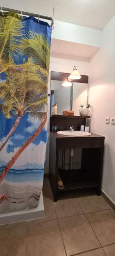 une salle de bain avec un lavabo et un miroir dans l'établissement 212 Appartement Disneyland Paris Montevrain, à Montévrain