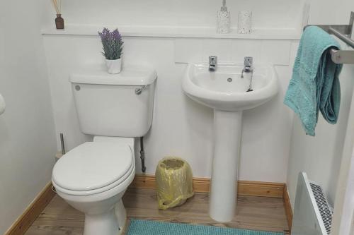 a bathroom with a toilet and a sink at River walk Cottage in Kincardine OʼNeil