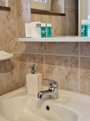 a bathroom sink with a roll of toilet paper on it at Lana 1 in Senj