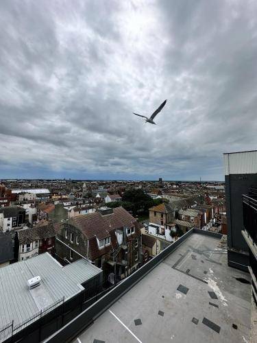 a bird flying in the sky over a city at The Atlantis - Tower Apartments in Great Yarmouth