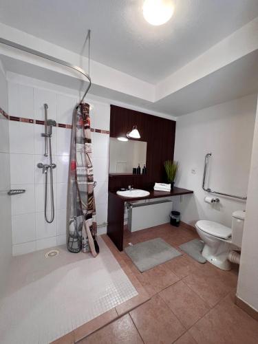 une salle de bain avec une douche, des toilettes et un lavabo dans l'établissement C301 Appartement Proche DisneyLand Paris, à Montévrain