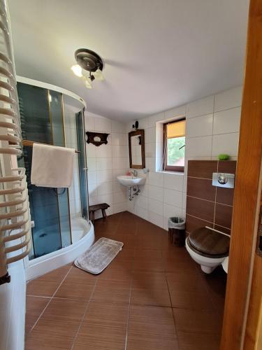 a bathroom with a shower and a toilet and a sink at GOŚCINIEC GŁODOWO in Ruciane-Nida