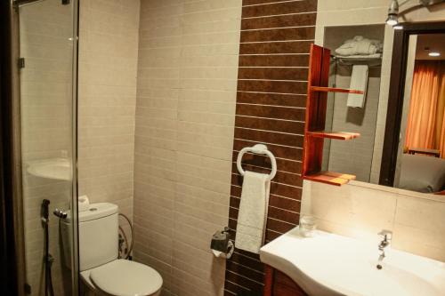 Hôtel Belle Vue et Spa في مكناس: حمام مع مرحاض ومغسلة