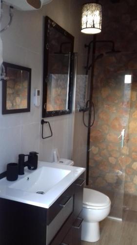 a bathroom with a sink and a toilet and a shower at LOS ARCOS in Las Labores