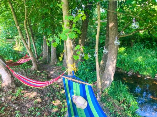 a group of hammocks tied to trees next to a stream at Mazury Glamping Kruklanki Polana Życzeń in Kruklanki