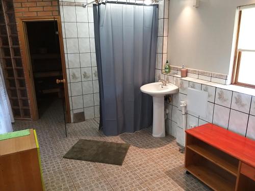 La salle de bains est pourvue d'un lavabo et d'une douche. dans l'établissement Villa Maia, à Papsaare