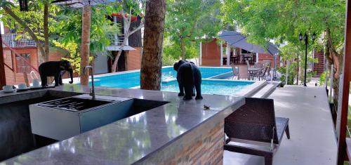 Piscine de l'établissement Tepraas Sigiriya ou située à proximité