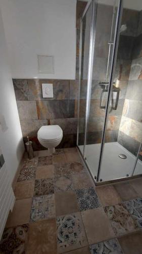 a bathroom with a toilet and a shower at Mister Hinster - studio tout confort centre ville Nogent-le-Rotrou - 1e étage in Nogent-le-Rotrou