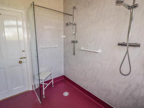 a bathroom with a shower with a glass door at St Justinians in St. Davids