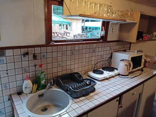 a kitchen counter with a sink and a microwave at Mobilheim in Mohelno