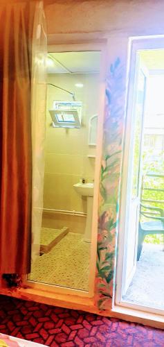 Un baño con ducha y un inodoro. en LAILA Guest House, en Mestia