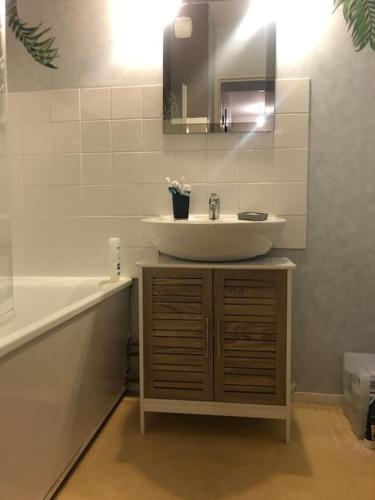 une salle de bain avec un lavabo et une baignoire dans l'établissement Appartement T2 meublé, à Limoges