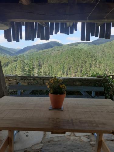 Pemandangan gunung umum atau pemandangan gunung yang diambil dari apartmen