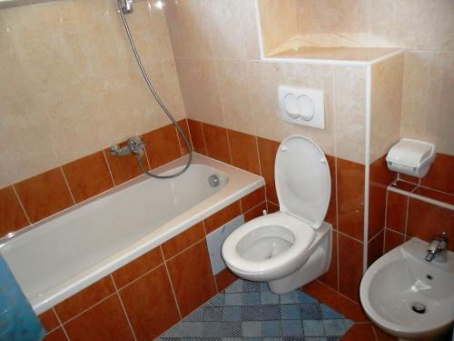 Vile Park Apartment