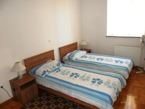 Vile Park Apartment