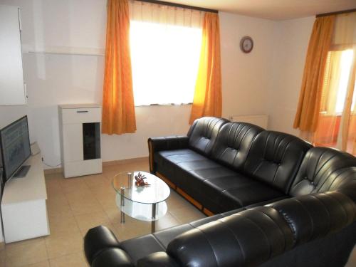 Vile Park Apartment