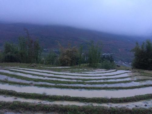 a field of crops with snow on the ground at Anh Duc Homestay in Sa Pa