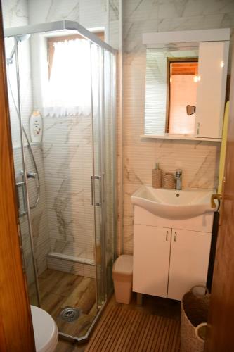 a bathroom with a shower and a sink and a toilet at Milošev Konak in Malo Središte