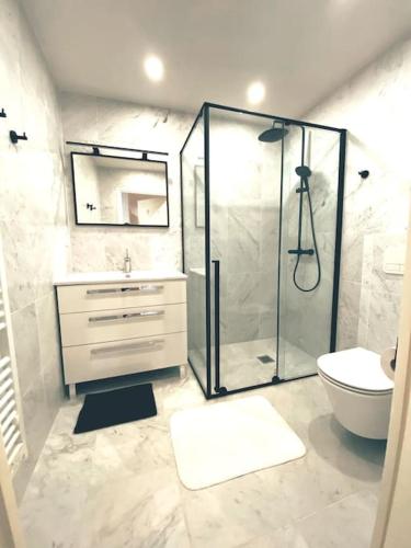 une salle de bain avec une douche, des toilettes et un lavabo dans l'établissement 2 bedroom apartament close to the beach, à Cannes