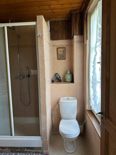 a bathroom with a toilet and a shower at Le Temps d'un Rêve in Ravenel