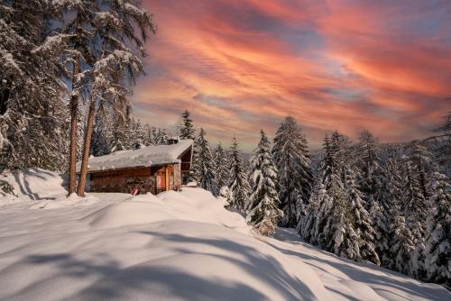 Chalet Magdalena – عکس‌ها 2