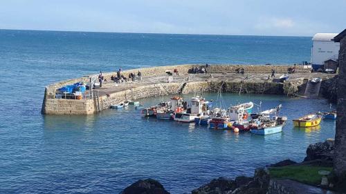 a group of boats docked on a pier in the water at Old Temperance House B&B St Keverne in Saint Keverne
