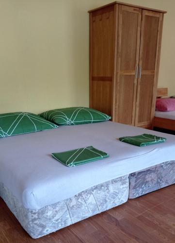 uma cama com duas almofadas verdes e um armário em Großer Schlafraum in ehemaliger Schule em Raiding