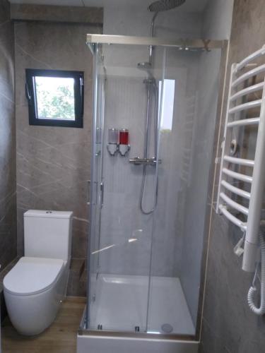 a bathroom with a shower with a toilet and a sink at Aquila Hotel in Zator