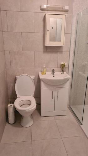 a bathroom with a toilet and a sink and a shower at Bundoran Seaview Apartments in Bundoran