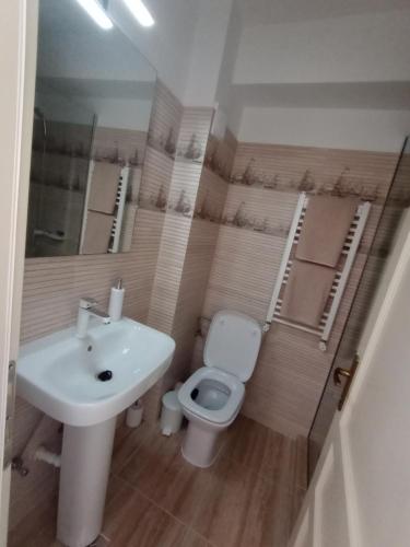 a bathroom with a white sink and a toilet at Pestele Ca Odinioară in Murighiol